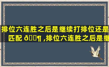 排位六连胜之后是继续打排位还是匹配 🐶 ,排位六连胜之后是继续打排位还是匹配好